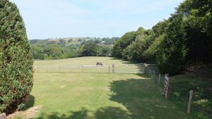 Parc Gwair Cottage Field